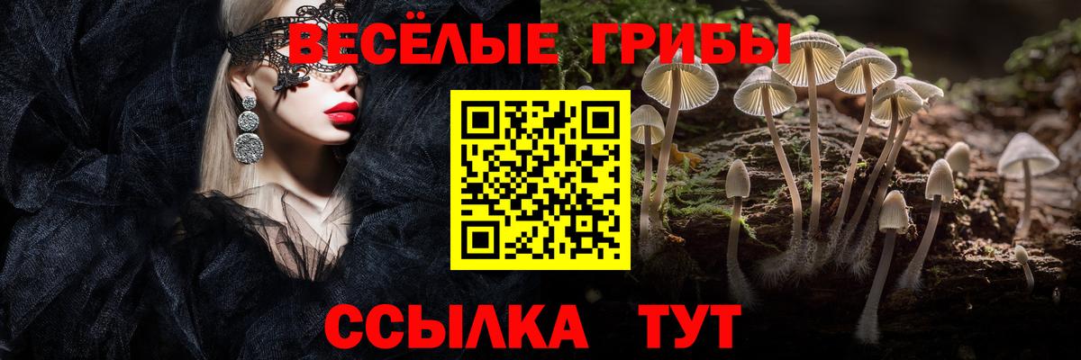 Карпинск  Галлюциногенные грибы прущие грибы  Галлюциногенные грибы Psilocybine cubensis  Вход с VPN 